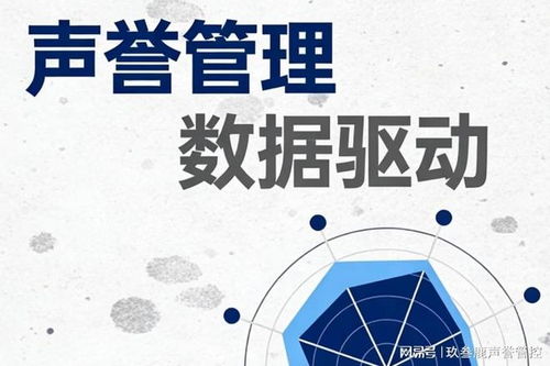 信息技术咨询服务赋能企业舆情突围 舆情管理优化处置服务企业十佳推荐榜单全解析